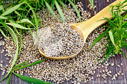 Image of Grain hemp in spoon on dark board