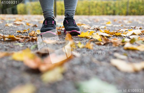 Image of close up of young woman running in autumn park