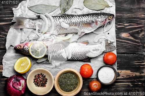 Image of Raw fish and ingredients