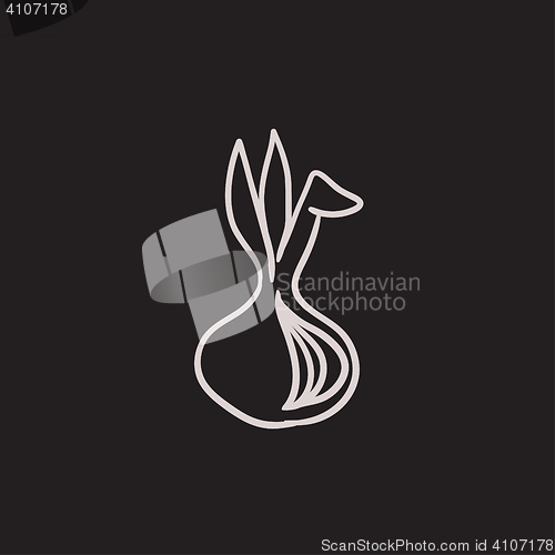 Image of Onion sketch icon.