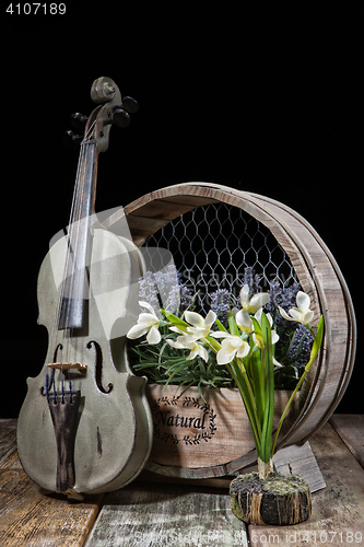 Image of Violin And Flowers