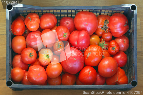 Image of Tomato in Crate