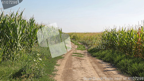 Image of Unpaved Road