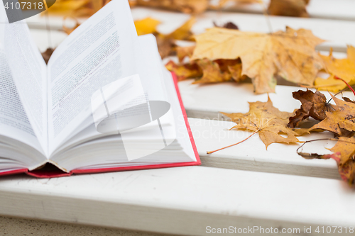 Image of open book and autumn leaves on park bench