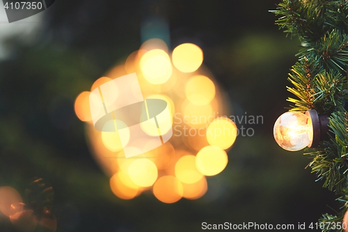 Image of Bulb on the christmas tree