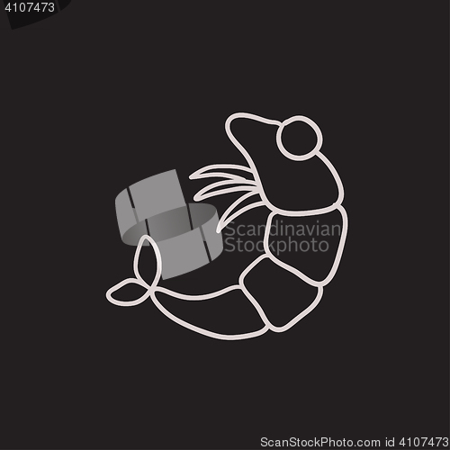 Image of Shrimp sketch icon.