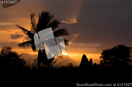 Image of Coconut-tree palm silhouette and sunset over the river