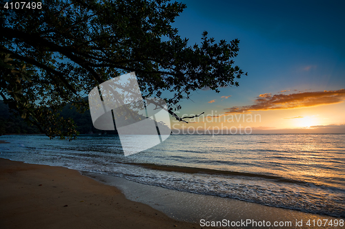 Image of Beautiful dream paradise beach, Madagascar