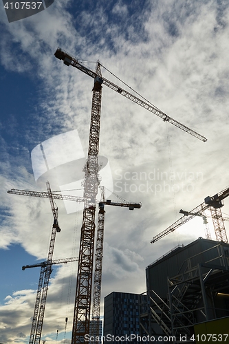 Image of Tall Construction Cranes