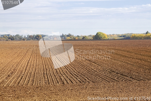 Image of Agircutural field with brown soil