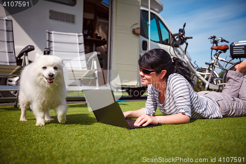 Image of Woman on the grass with a dog looking at a laptop