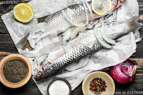 Image of Raw fish and ingredients