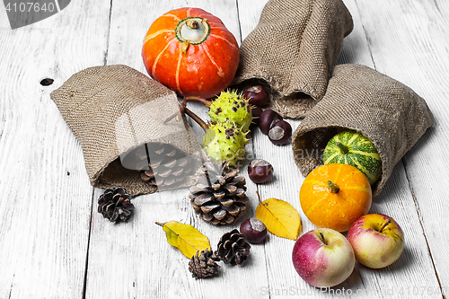 Image of Autumn harvest of fruits and vegetables