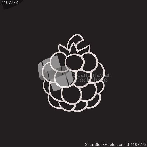 Image of Raspberry sketch icon.