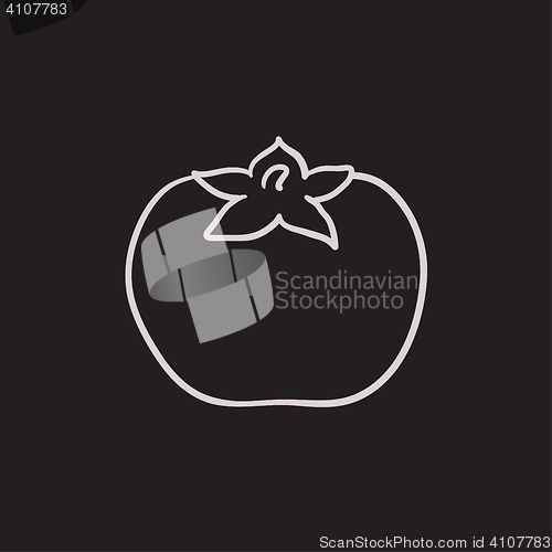 Image of Tomato sketch icon.