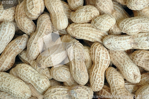 Image of Peanuts