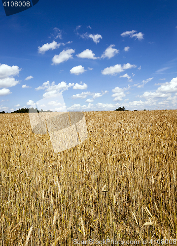 Image of agricultural field