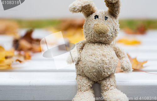 Image of close up of toy rabbit on bench in autumn park