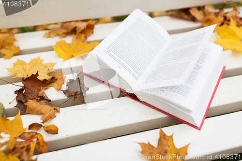 Image of open book on bench in autumn park