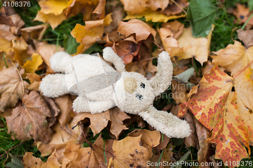 Image of toy rabbit in fallen autumn leaves