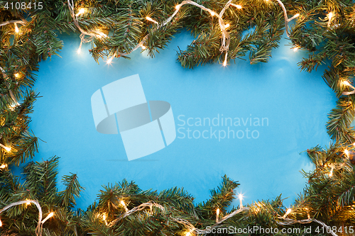 Image of Fir branches on blue background