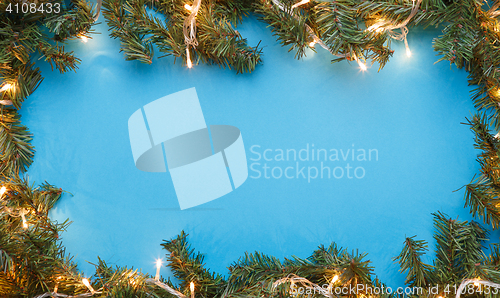 Image of Spruce branches on blue background