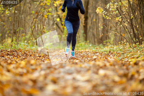 Image of Girl in sportswear in park