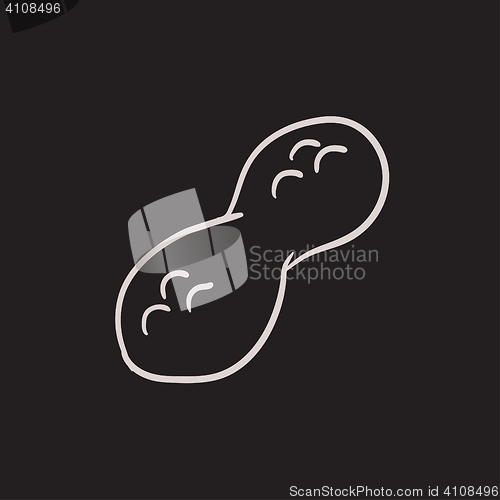 Image of Peanut sketch icon.
