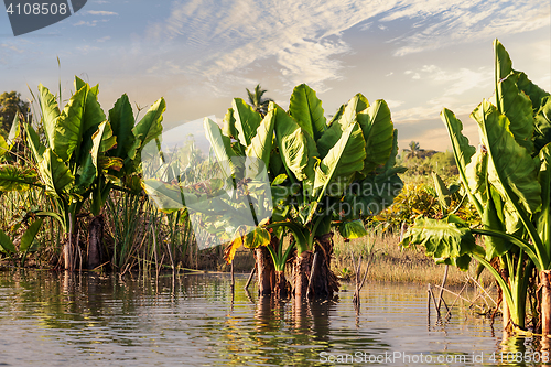 Image of Madagascar traditional river landscape