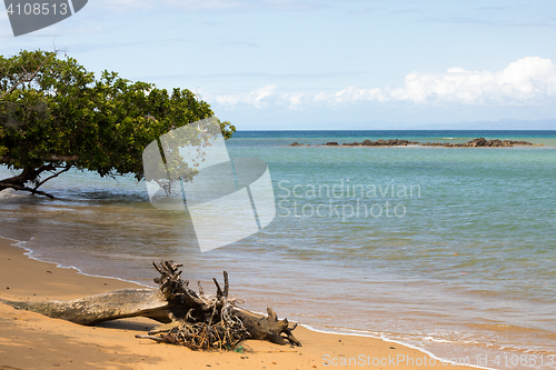 Image of Beautiful dream paradise nature beach madagascar