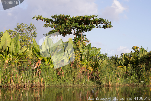 Image of Madagascar traditional river landscape