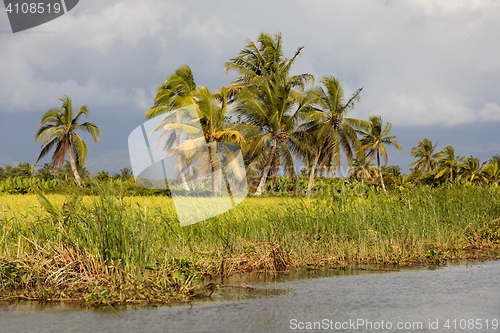 Image of Madagascar traditional river landscape