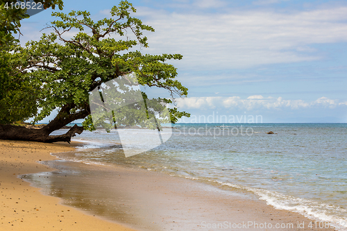 Image of Beautiful dream paradise nature beach madagascar