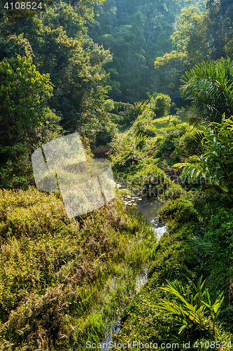 Image of Madagascar beautiful landscape