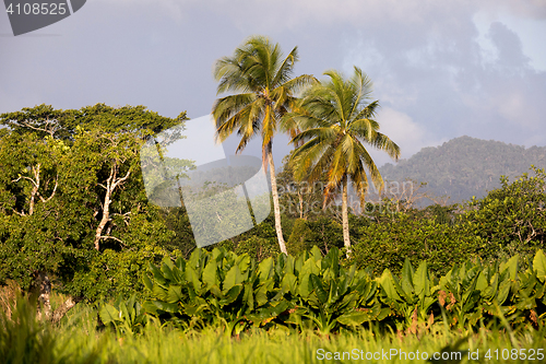 Image of Madagascar traditional river landscape