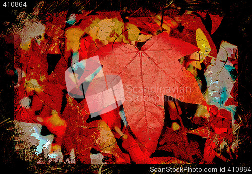 Image of red autumn leaf