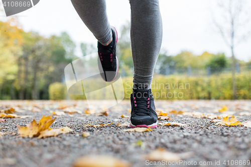 Image of close up of young woman running in autumn park