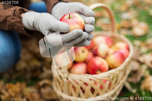 Image of woman with basket of apples at autumn garden