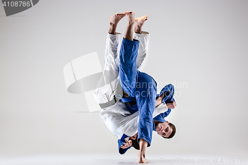 Image of The two judokas fighters fighting men