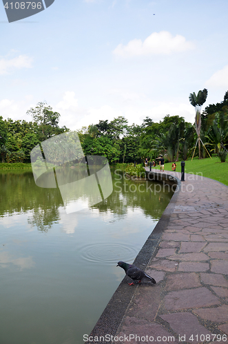 Image of Lake in Singapore Botanic Garden