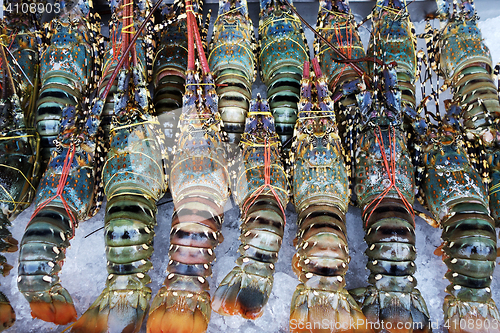 Image of Fresh lobsters on ice for sale at market