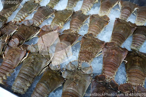 Image of Many fresh crayfish at seafood market