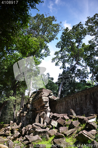 Image of Ta Prohm Temple, Angkor, Cambodia