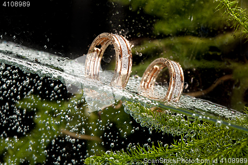 Image of Golden Rings In The Water