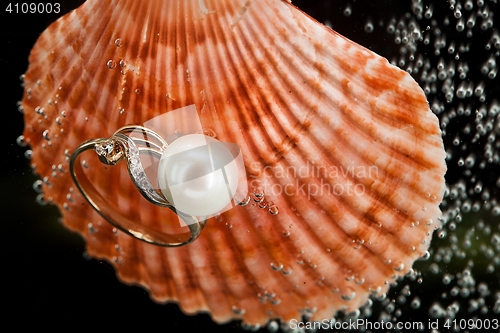 Image of Ring And Shell
