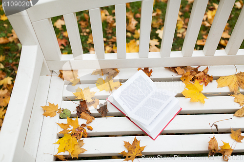 Image of open book on bench in autumn park