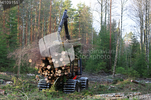 Image of Forestry forwarder Stacks Up Wood