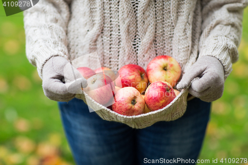 Image of close up of woman with apples in autumn