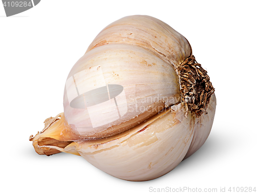 Image of Single garlic bulb lying on the side