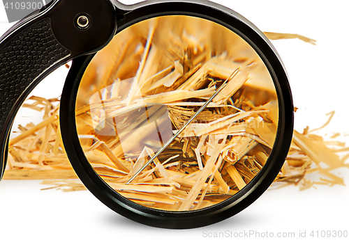 Image of Magnifier enlarges a needle in haystack